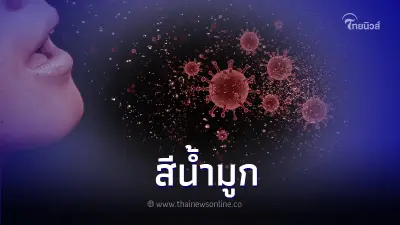 "สีน้ำมูก" บอกความรุนแรงของหวัดและสุขภาพเราได้ "สีน้ำมูก" บอกความรุนแรงของหวัดและสุขภาพเราได้
