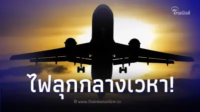 นกปริศนาชนเครื่องบิน ก่อนถูกดูดเข้าเครื่องยนต์ ทำไฟลุกกลางอากาศ