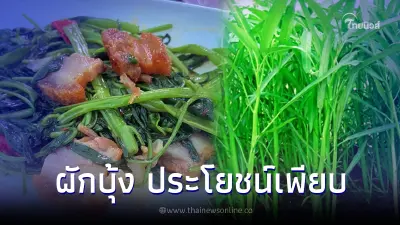 เขียวดีมีประโยชน์ 10 สุดยอดสรรพคุณของ "ผักบุ้ง"
