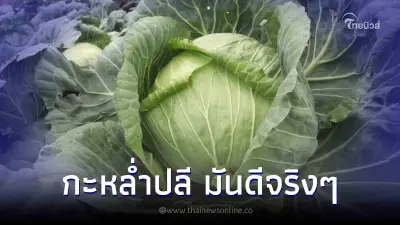 อย่างเจ๋ง 10 ประโยชน์ของ "กะหล่ำปลี" โอ้โห มันดีจริงๆนะ