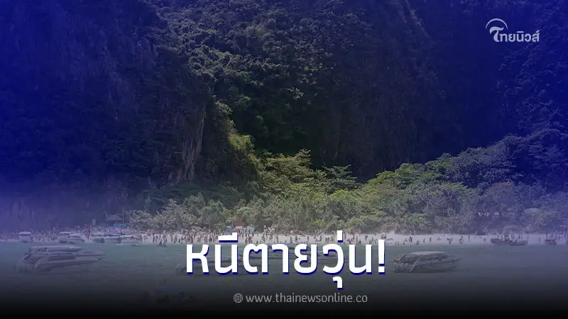นทท.หนีตายวุ่น ระทึก "เจ้าหน้าที่อุทยานฯ" ยิงกัน ในพื้นที่อ่าวมาหยา นทท.หนีตายวุ่น ระทึก "เจ้าหน้าที่อุทยานฯ" ยิงกัน ในพื้นที่อ่าวมาหยา