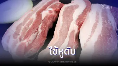 เตือนระวัง!รับประทานหมูดิบเสี่ยงโรคไข้หูดับ เตือนระวัง!รับประทานหมูดิบเสี่ยงโรคไข้หูดับ