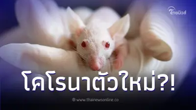 สื่ออังกฤษ ตีข่าว จีนทดลองไวรัสโคโรนาตัวใหม่ เสียชีวิต 100% - โจมตี สมอง