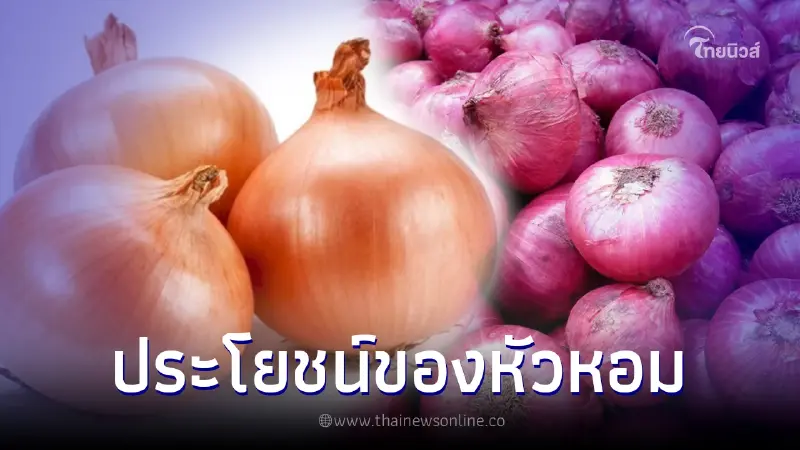 รู้แล้วต้องบอกต่อ 10 ประโยชน์จาก "หัวหอม" เป็นยิ่งกว่าสมุนไพร รู้แล้วต้องบอกต่อ 10 ประโยชน์จาก "หัวหอม" เป็นยิ่งกว่าสมุนไพร