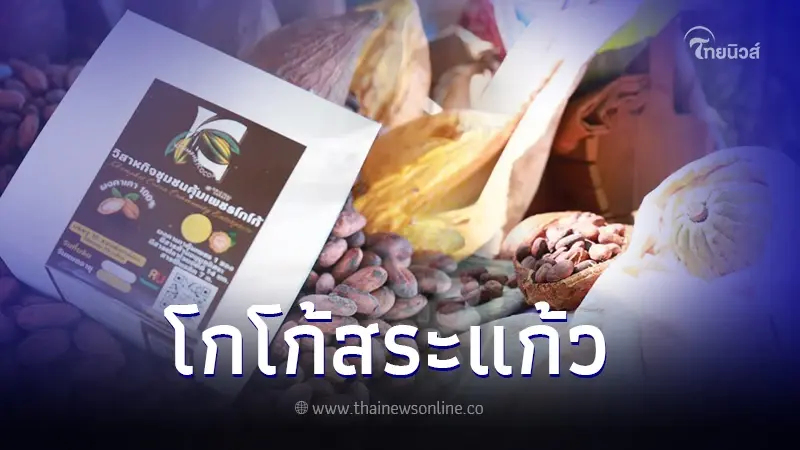 "โกโก้" จังหวัดสระแก้ว สู่พืชเศรษฐกิจหลักของไทย ดันรายได้เกษตรกร "โกโก้" จังหวัดสระแก้ว สู่พืชเศรษฐกิจหลักของไทย ดันรายได้เกษตรกร