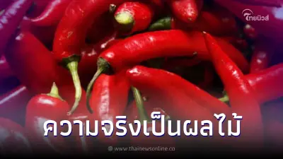 หลายคนไม่เคยรู้ "พริก" ความจริงไม่ใช่ผักแต่เป็น "ผลไม้"