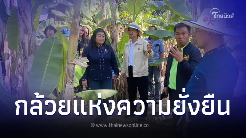 "กล้วยเเห่งความยั่งยืน" นครพนมยกระดับสู่ความยั่งยืน "กล้วยเเห่งความยั่งยืน" นครพนมยกระดับสู่ความยั่งยืน