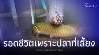 หนุ่มรอดตายจากแผ่นดินไหว เพราะปลามังกร ส่งสัญญาณล่วงหน้า 5 วัน