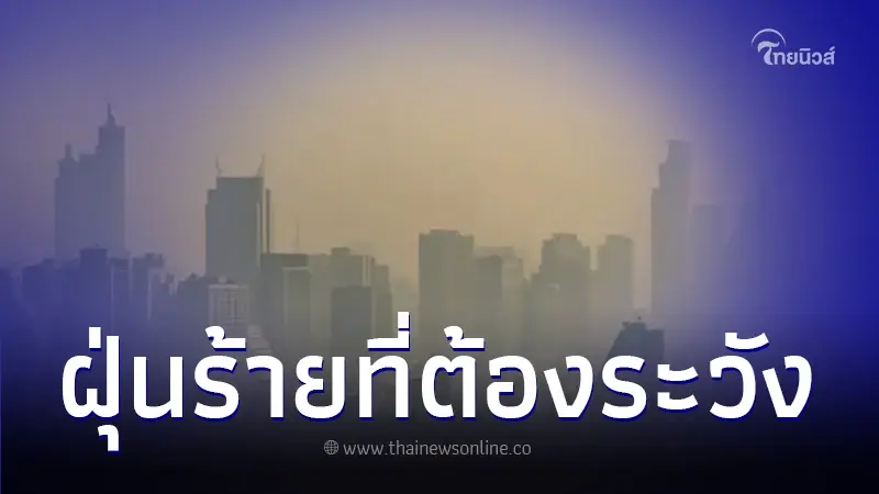 ทำความรู้จัก PM 2.5 ฝุ่นร้ายที่ต้องระวัง! ทำความรู้จัก PM 2.5 ฝุ่นร้ายที่ต้องระวัง!