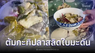 เมนูโบราณแบบบ้านๆ สูตร "ต้มกะทิปลาสลิดใบมะดัน" หากินยากแต่ทำง่ายมาก เมนูโบราณแบบบ้านๆ สูตร "ต้มกะทิปลาสลิดใบมะดัน" หากินยากแต่ทำง่ายมาก