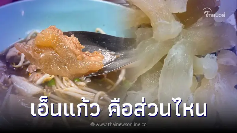 "เอ็นแก้ว" คืออะไร เป็นส่วนไหนของวัว เอาไปทำเมนูไหนเด็ด "เอ็นแก้ว" คืออะไร เป็นส่วนไหนของวัว เอาไปทำเมนูไหนเด็ด