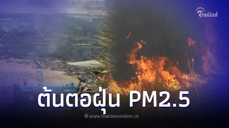 เผาชีวมวลในที่โล่งพื้นที่การเกษตร ต้นตอฝุ่น PM2.5