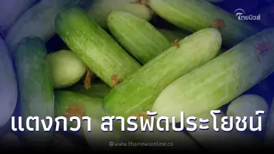 12 ประโยชน์ของ "แตงกวา" สรรพคุณด้านสุขภาพที่มาเต็ม