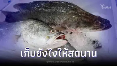 เอาใจคุณแม่บ้าน เคล็ดลับเก็บอาหารทะเลให้สดนานเหมือนเพิ่งขึ้นจากน้ำ เอาใจคุณแม่บ้าน เคล็ดลับเก็บอาหารทะเลให้สดนานเหมือนเพิ่งขึ้นจากน้ำ