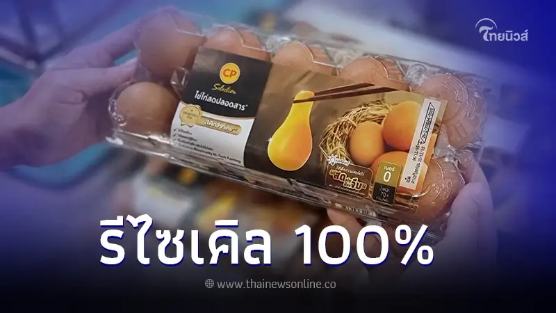 “ถาดไข่ไก่” รักษ์โลก รีไซเคิล 100% ป็นมิตรต่อสิ่งแวดล้อม “ถาดไข่ไก่” รักษ์โลก รีไซเคิล 100% ป็นมิตรต่อสิ่งแวดล้อม