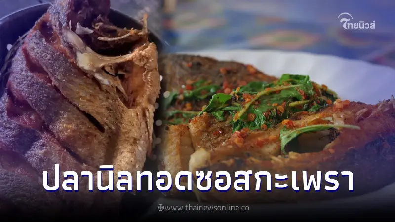สุดยอดคอมโบ "ปลานิลทอดราดซอสกะเพรา" รวมความอร่อยทะลักในจานเดียว สุดยอดคอมโบ "ปลานิลทอดราดซอสกะเพรา" รวมความอร่อยทะลักในจานเดียว