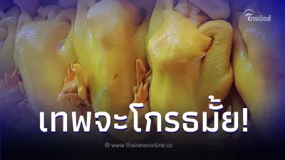 สาวหน้าซีด จ่ายเงิน 500 ซื้อไก่ไหว้เจ้า แต่พอหั่นจะกิน เพิ่งรู้ว่าโดนหลอก สาวหน้าซีด จ่ายเงิน 500 ซื้อไก่ไหว้เจ้า แต่พอหั่นจะกิน เพิ่งรู้ว่าโดนหลอก