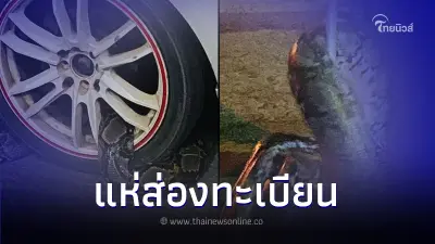 หนุ่มตกใจ เห็นงูตัวใหญ่พันล้อรถ คอหวยแห่ส่องเลขทะเบียนรถ