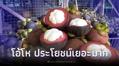 10 ประโยชน์ของ "มังคุด" บำรุงทั้งภายนอกภายใน สมฐานะราชินีแห่งผลไม้ไทย