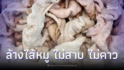 บอกลากลิ่นสาบ "ล้างไส้หมู" สะอาดหมดจดด้วย 3 วัตถุดิบก้นครัว