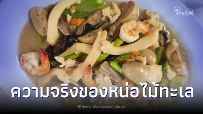 หลายคนไม่เคยรู้ "หน่อไม้ทะเล" ชื่อเป็นผักแต่จริงๆเป็นสิ่งมีชีวิต