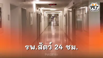 รายชื่อโรงพยาบาลสัตว์ ที่เปิดตลอด 24 ชั่วโมง