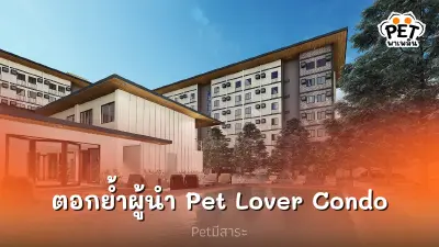 ออริจิ้น จัดทัพ กางแผนปี67 ตอกย้ำผู้นำคอนโดสัตว์เลี้ยง Pet Lover Condo