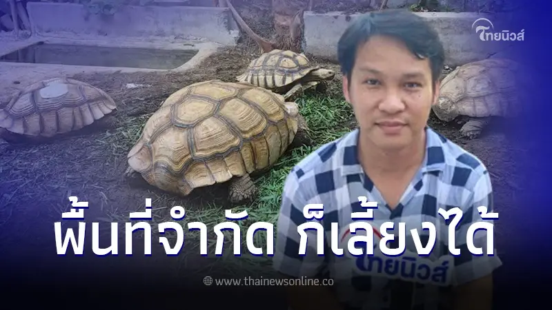 รู้จัก "เต่าบกซูคาต้า"เลี้ยงง่าย รายได้งาม อายุยืนได้ถึง 70 ปี รู้จัก "เต่าบกซูคาต้า"เลี้ยงง่าย รายได้งาม อายุยืนได้ถึง 70 ปี