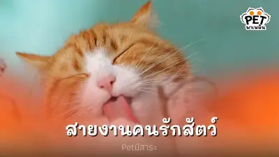รวม   5 สายงานเกี่ยวกับสัตว์เอาใจคนรักสัตว์