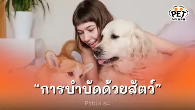 ประโยชน์ของการสัตว์เลี้ยงบำบัดจิตใจ