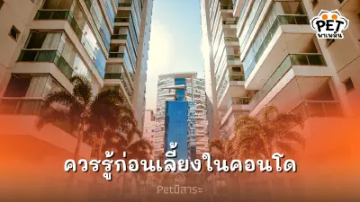 เผย 5 ข้อควรรู้ก่อนเลี้ยงสัตว์ในคอนโด