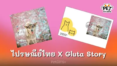 ไปรษณีย์ไทยเปิดตัวแสตมป์ “วันรักสัตว์เลี้ยงโลก” ไปรษณีย์ไทยเปิดตัวแสตมป์ “วันรักสัตว์เลี้ยงโลก”