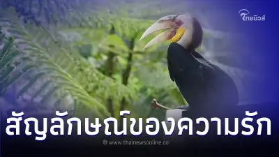 "นกเงือก" สัญลักษณ์ของความรักและความซื่อสัตย์