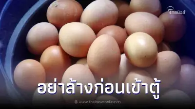 ขอเตือน อย่าล้าง"ไข่ไก่"ก่อนเก็บเข้าตู้เย็นถ้าไม่อยากให้เน่าเร็ว