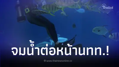 นักประดาน้ำจมกลางตู้จัดแสดง ต่อหน้านักท่องเที่ยว ยืนมองนานกว่า 10 นาที