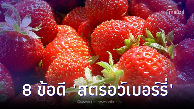 8 ประโยชน์ "สตรอว์เบอร์รี่" ลูกเล็กแต่สรรพคุณดีๆอัดแน่น ไม่กินไม่ได้แล้ว 8 ประโยชน์ "สตรอว์เบอร์รี่" ลูกเล็กแต่สรรพคุณดีๆอัดแน่น ไม่กินไม่ได้แล้ว