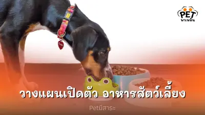 “กลุ่มอำพลฟูดส์” รีแบรนดิ้งกางแผนปี 67 ลุยตลาดคนรักสัตว์