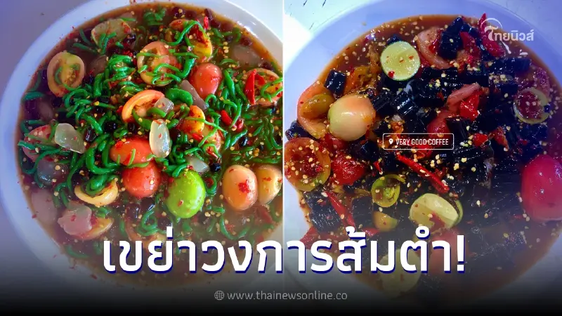 เขย่าวงการส้มตำ เมนูใหม่ ตำลอดช่อง ไข่มุก ขั้นกว่าของตำลาวลูกชิด เขย่าวงการส้มตำ เมนูใหม่ ตำลอดช่อง ไข่มุก ขั้นกว่าของตำลาวลูกชิด