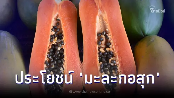 มะละกอสุก กับ 7 ประโยชน์แบบจุกๆ ผลไม้สีส้ม อร่อยแถมดีต่อสุขภาพ