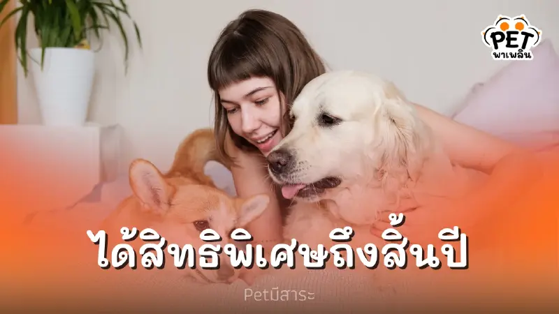 เหล่าทาสมีเฮ ธนาคารร่วมกับโรงพยาบาลสัตว์ให้สิทธิส่วนลดพิเศษ ยาวถึงสิ้นปี เหล่าทาสมีเฮ ธนาคารร่วมกับโรงพยาบาลสัตว์ให้สิทธิส่วนลดพิเศษ ยาวถึงสิ้นปี