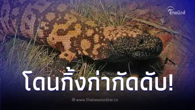 หนุ่มแอบเลี้ยง "กิ้งก่า" ก่อนโดนกัดเสียชีวิต