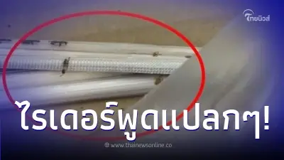 ลูกค้างง ไรเดอร์มาส่งของ ก่อนพูดจาแปลกๆ พอเปิดกล่องอาหารถึงบางอ้อทันที