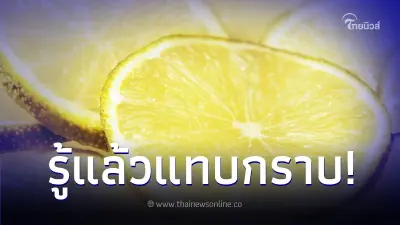 ลูกสงสัย แม่ชอบหั่นมะนาววางไว้ข้างเตียง - มุมห้องนอนให้ทุกคืน ลูกสงสัย แม่ชอบหั่นมะนาววางไว้ข้างเตียง - มุมห้องนอนให้ทุกคืน