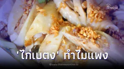 ไขความลับ "ไก่เบตง" ทำไมแพงสุดในประเทศไทย ขึ้นเหลาราคาพุ่งเกิน 2000