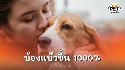 สัตว์เลี้ยงทำให้เราบ้องแบ๊วขึ้น 1000%