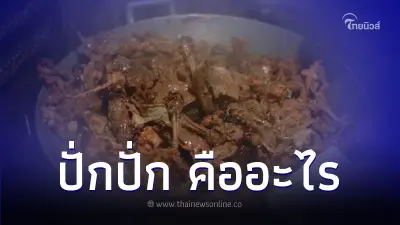 ปั่กปั่ก คืออะไร อาหารไร้ทางเลือก สะท้อนสังคม