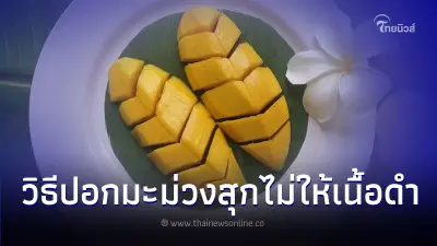 วิธีปอกมะม่วงสุกไม่ให้เนื้อดำ ทิ้งไว้นานแค่ไหนก็ยังน่าทาน วิธีปอกมะม่วงสุกไม่ให้เนื้อดำ ทิ้งไว้นานแค่ไหนก็ยังน่าทาน