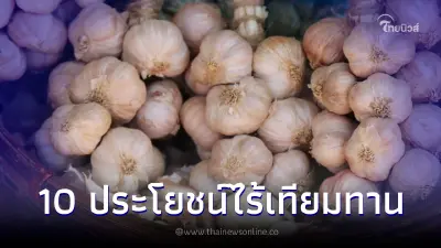 10 ประโยชน์ไร้เทียมทาน "กระเทียม" รสเผ็ดร้อน กลิ่นฉุน หลายคนหยีแต่ดีเกินคาด 10 ประโยชน์ไร้เทียมทาน "กระเทียม" รสเผ็ดร้อน กลิ่นฉุน หลายคนหยีแต่ดีเกินคาด