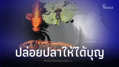 เปิดวิธีปล่อยปลาให้ได้บุญ ปล่อยปลาอะไรดี เปิดวิธีปล่อยปลาให้ได้บุญ ปล่อยปลาอะไรดี