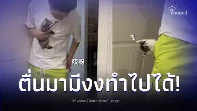 หนุ่มเมาหยิบลูกแมวจรเซอร์ไพรส์แฟน ในมือ 1 ตัว อีก 2 ค่อยๆ โผล่จากกระเป๋า หนุ่มเมาหยิบลูกแมวจรเซอร์ไพรส์แฟน ในมือ 1 ตัว อีก 2 ค่อยๆ โผล่จากกระเป๋า
